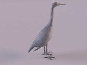 Grey Heron 3D Model