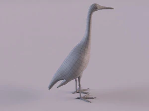 Grey Heron 3D Model