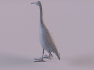 Grey Heron 3D Model