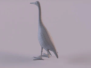 Grey Heron 3D Model
