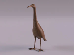 H&eacute;ron imprimable Modèles 3D en vedette