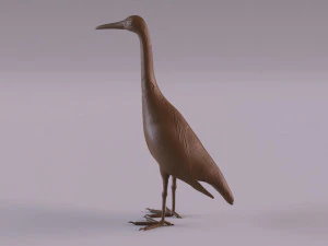 H&eacute;ron imprimable Modèles 3D en vedette