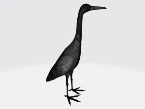 H&eacute;ron imprimable Modèles 3D en vedette