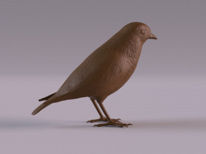 Redstart figurine 3D 프린트 모델