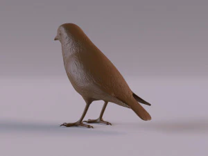 Redstart figurine 3D Print Model