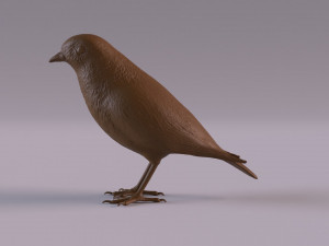 Redstart figurine 3D 프린트 모델