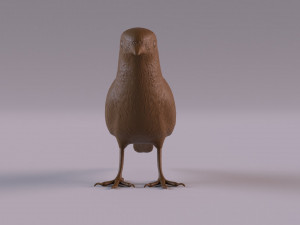 Redstart figurine 3D 프린트 모델
