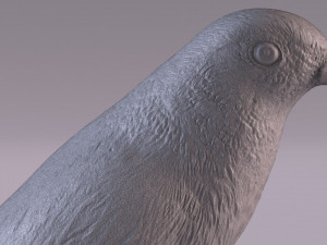 Redstart figurine 3D 프린트 모델