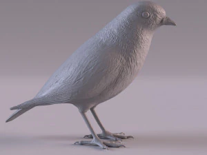 Redstart figurine 3D Print Model