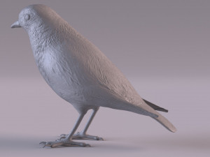 Redstart figurine 3D 프린트 모델