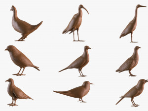 Printable birds 3D Print Model