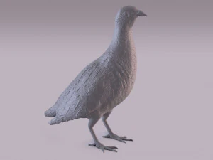 Printable birds 3D Print Model