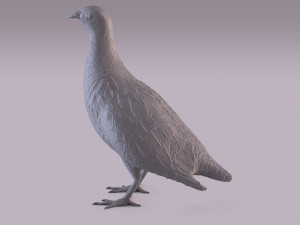 Printable birds 3D प्रिंट मॉडल