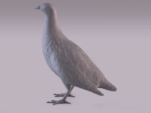 Printable birds 3D Print Model