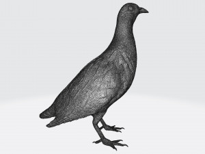 Printable birds 3D प्रिंट मॉडल