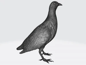 Printable birds 3D Print Model