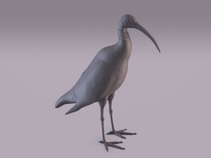 Printable birds 3D प्रिंट मॉडल