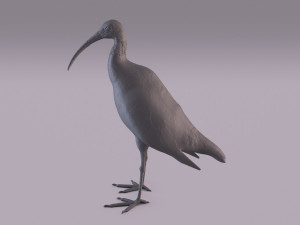 Printable birds 3D प्रिंट मॉडल