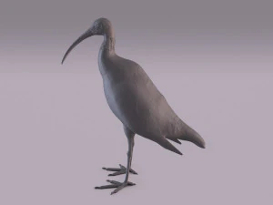 Printable birds 3D Print Model