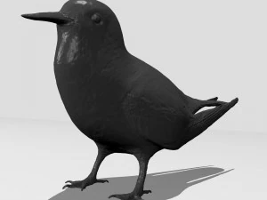 Printable birds 3D Print Model
