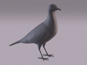 Printable birds 3D प्रिंट मॉडल