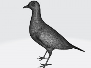 Printable birds 3D प्रिंट मॉडल