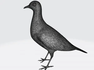 Printable birds 3D Print Model