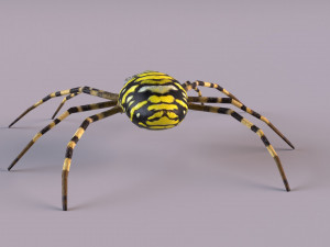 Wasp Spider 3D Модель