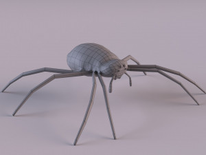 Wasp Spider 3D Модель