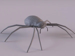 Wasp Spider 3D Model