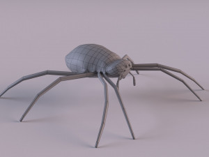 Wasp Spider 3D Модель