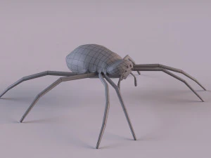 Wasp Spider 3D Model