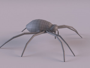 Wasp Spider 3D Модель