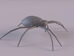Wasp Spider 3D Model