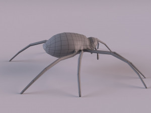 Wasp Spider 3D Модель