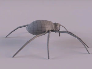 Wasp Spider 3D Model