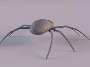Wasp Spider 3D Model