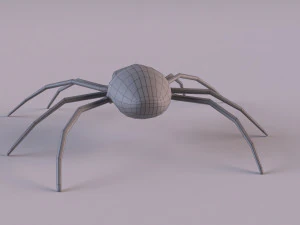 Wasp Spider 3D Model