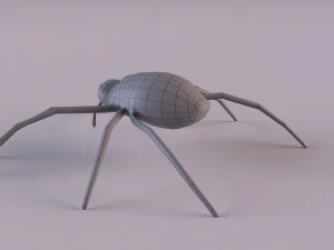 Wasp Spider 3D Model