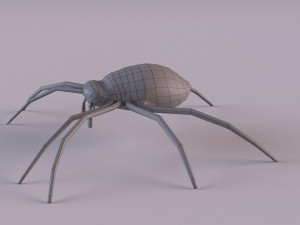 Wasp Spider 3D Модель