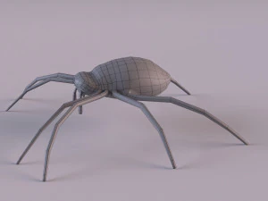 Wasp Spider 3D Model