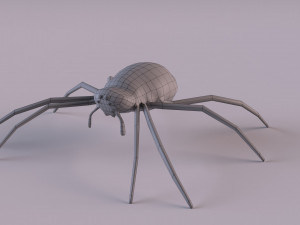 Wasp Spider 3D Модель