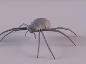 Wasp Spider 3D Model