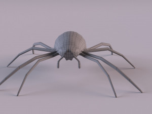 Wasp Spider 3D Модель