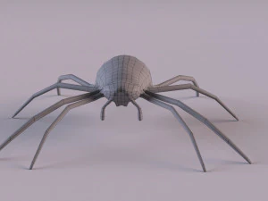 Wasp Spider 3D Model