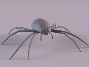 Wasp Spider 3D Model