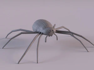 Wasp Spider 3D Model
