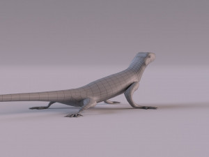 Rock Agama lizard 3D Модель
