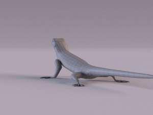 Rock Agama lizard 3D Модель