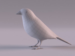 Diamond Firetail Finch 3D Model